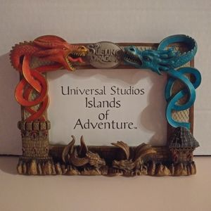 Dueling Dragons Universal Studios Picture Frame
